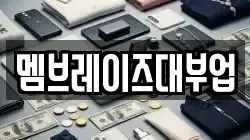 멤브레이즈대부업