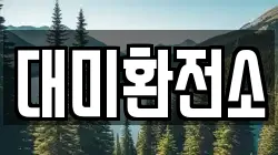 대미환전소