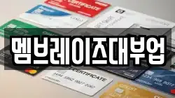 멤브레이즈대부업