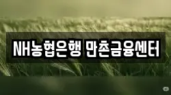 NH농협은행 만촌금융센터