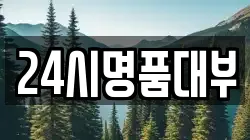 24시명품대부