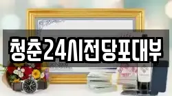 청춘24시전당포대부