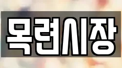 목련시장