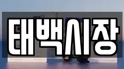 태백시장