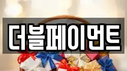 더블페이먼트