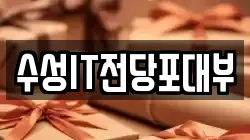 수성IT전당포대부