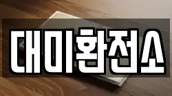 대미환전소