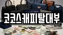 코코스캐피탈대부