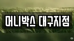 머니박스 대구지점
