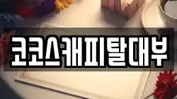 코코스캐피탈대부
