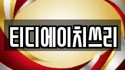 티디에이치쓰리