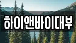 하이앤바이대부