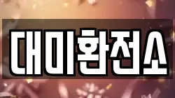 대미환전소