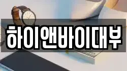 하이앤바이대부