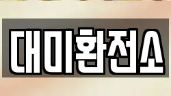 대미환전소