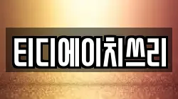 티디에이치쓰리