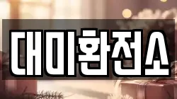 대미환전소