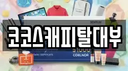 코코스캐피탈대부