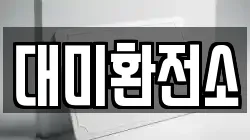 대미환전소