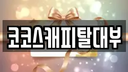 코코스캐피탈대부