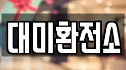 대미환전소