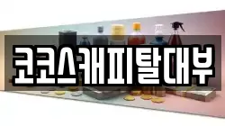 코코스캐피탈대부
