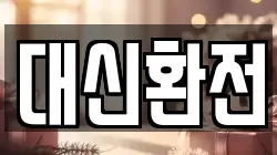 대신환전