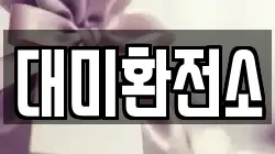 대미환전소