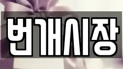 번개시장