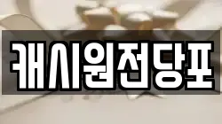 캐시원전당포