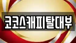 코코스캐피탈대부