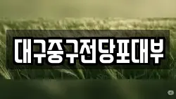 대구중구전당포대부