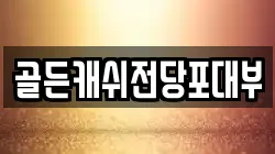골든캐쉬전당포대부