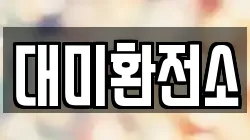 대미환전소