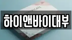 하이앤바이대부
