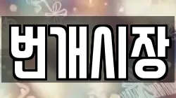 번개시장