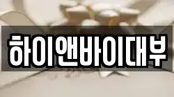 하이앤바이대부