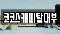 코코스캐피탈대부