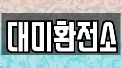 대미환전소