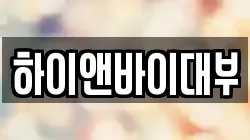 하이앤바이대부