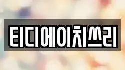 티디에이치쓰리