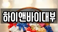 하이앤바이대부