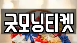 굿모닝티켓