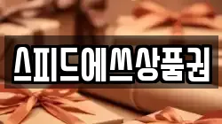 스피드에쓰상품권