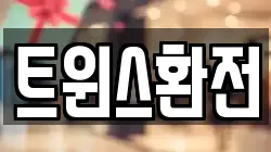트윈스환전