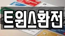 트윈스환전