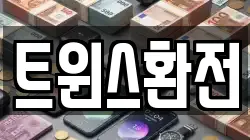 트윈스환전