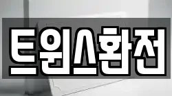 트윈스환전