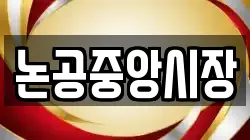 논공중앙시장