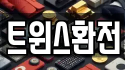 트윈스환전